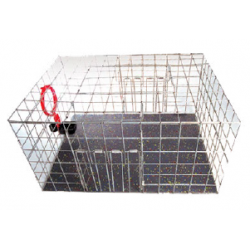 Cage de capture pigeons AVITHOR avec fond