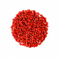 BRODITEC Blé vrac sac 10kg...
