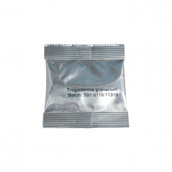 Phéromones pour Trogoderma...