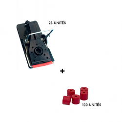 Kit 1an - Souris INVITE
