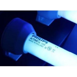 Tube néon 15W PHILIPS UV-A...