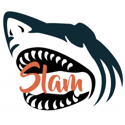 Logo piège Slam Ensystex