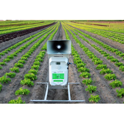 Appareil sonore anti oiseaux