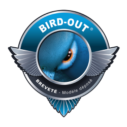 Logo Bird out