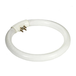 Tube néon