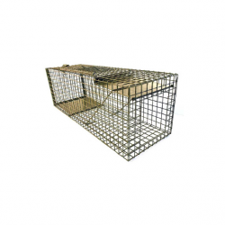CAGE de capture