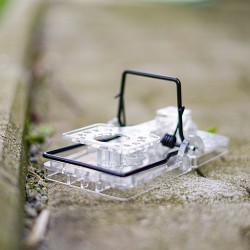 Pièges Gorilla Rat TRANSPARENT