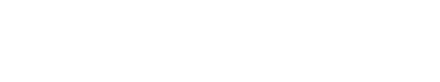 Ensystex Solution Pro