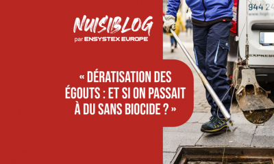 RatTrap de Ratel, pour une dératisation des égouts sans biocide