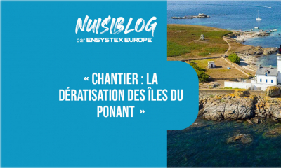 Dératisation : les îles du Ponant mandatent Phœnix Effarouchement