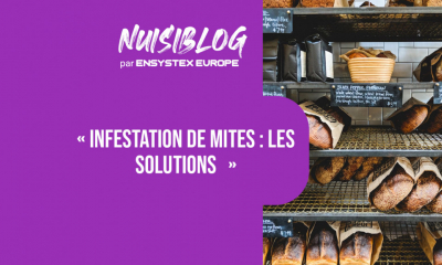 Se débarrasser des mites avec des phéromones
