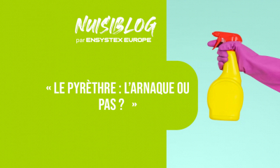 Pyrèthre : l’arnaque ou pas ? 