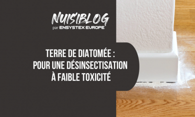 Terre de diatomée : pour une désinsectisation à faible toxicité