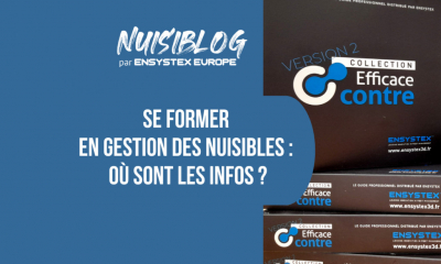 Formation nuisible : où trouver l’information sur la gestion des nuisibles ?