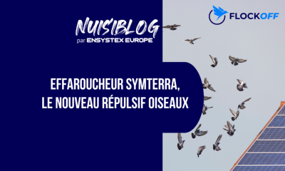 Effaroucheur Symterra : le nouveau répulsif oiseaux