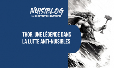 Thor, ou comment Ensystex devient une légende dans la lutte anti-nuisibles