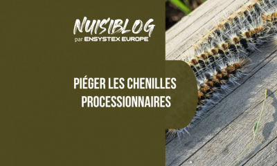 Piège à chenille processionnaire et traitement