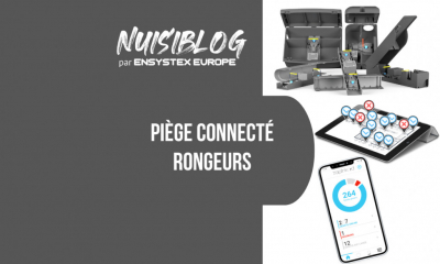 Piège connecté rongeur