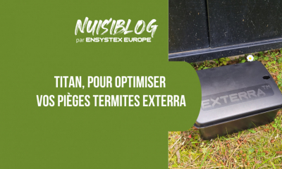 Piège à termite extérieur : éliminez plus vite avec Titan