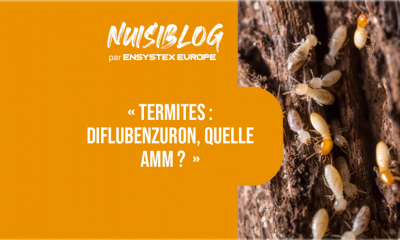 Exterra™ : la solution pour votre traitement termites