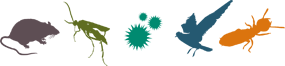 Ensystex Solution Pro